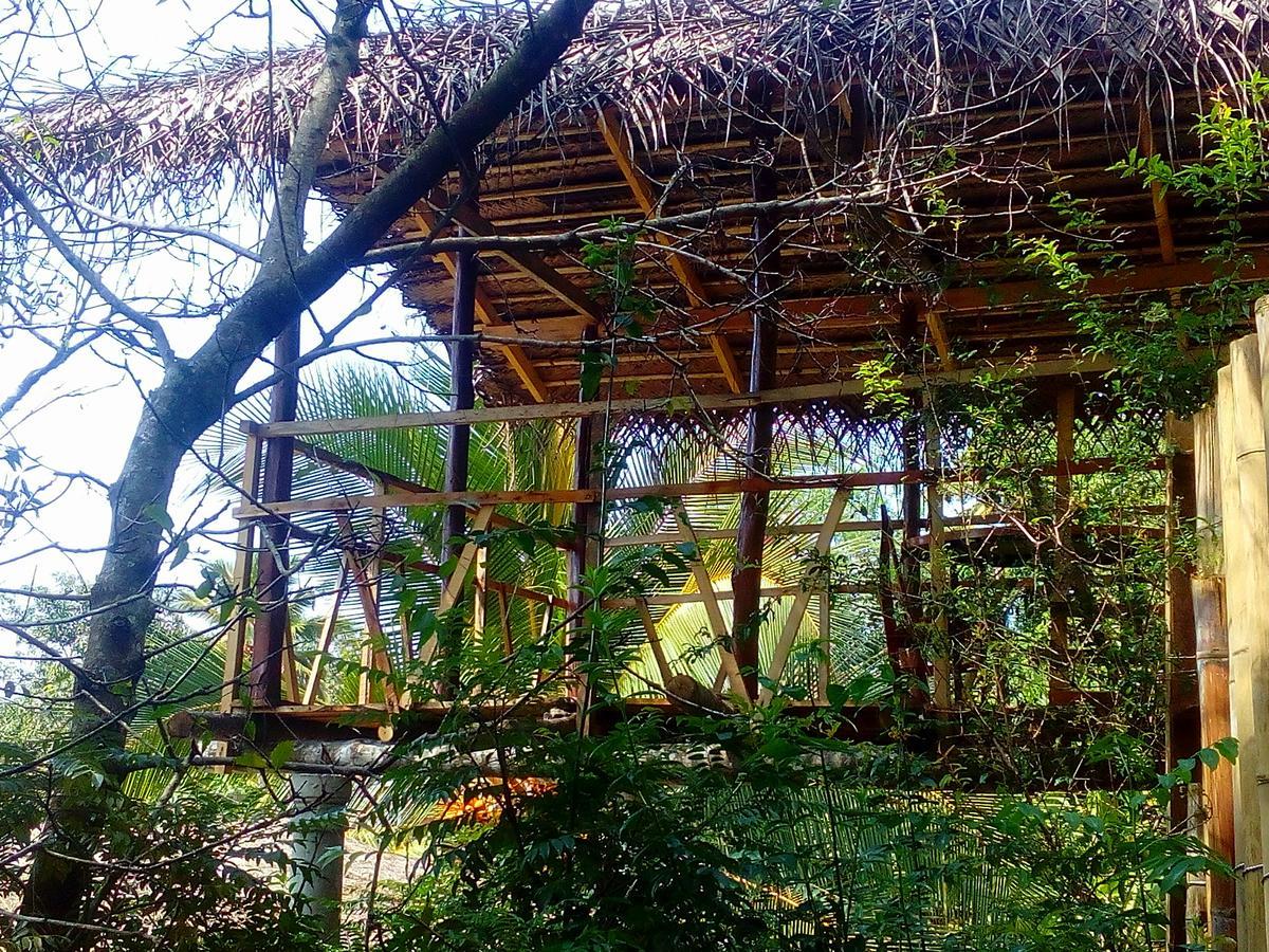 Ancient Gardens Villa Pinnawala  Ngoại thất bức ảnh